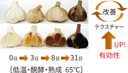 ［低温・醗酵・熟成  65℃］