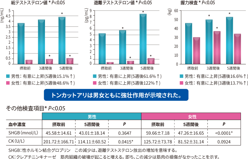 トンカットアリは男女ともに強壮作用が示唆された。