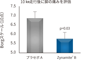 疼痛 10㎞走行後に脚の痛みを評価